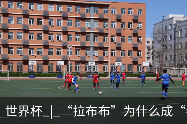 世界杯 | “拉布布”为什么成“特别嘉宾”？