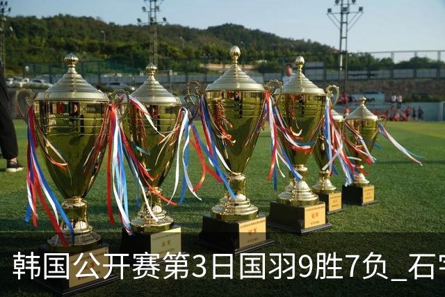 韩国公开赛第3日国羽9胜7负 石宇奇李诗沣等晋级